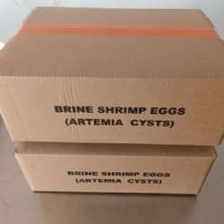 Artemia Cysts Brine Shrimp Eggs