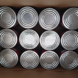 Artemia Cysts Brine Shrimp Eggs